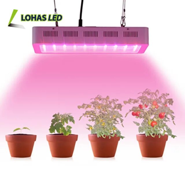 фитолампа 20 ватт. лампы холодного света для растений. чем отличается фитолампа от обычной. фитолампа led grow light. чем отличается фитолампа от обычной.