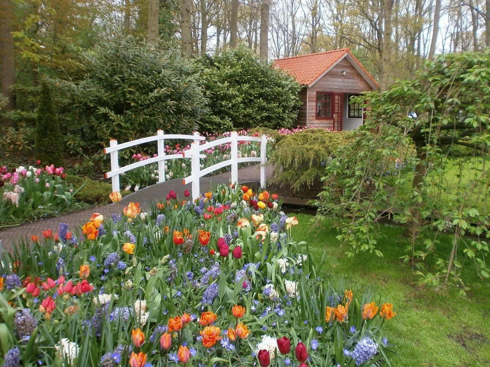Цветы весной на даче фото. Бадингем Англия домики, поля. Деревня двор огород палисадник. Цветник в саду. Красивая дача.