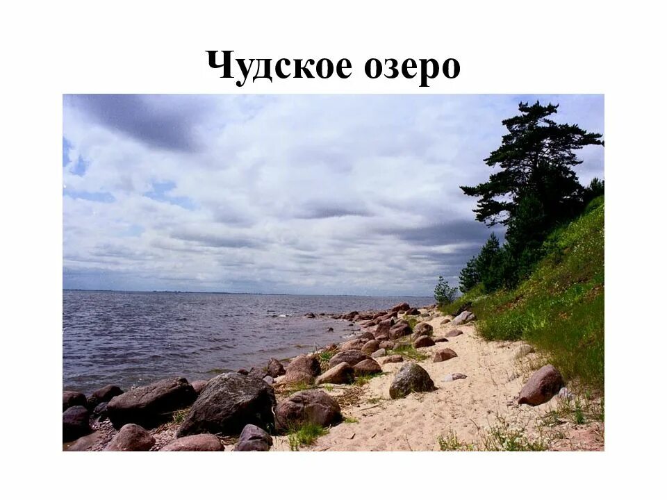 Происхождение псковско чудского озера. Псковско чудской водоем. Интересные факты о чудском озере. Псковское озеро чудское озеро. Псковское чудское озеро.