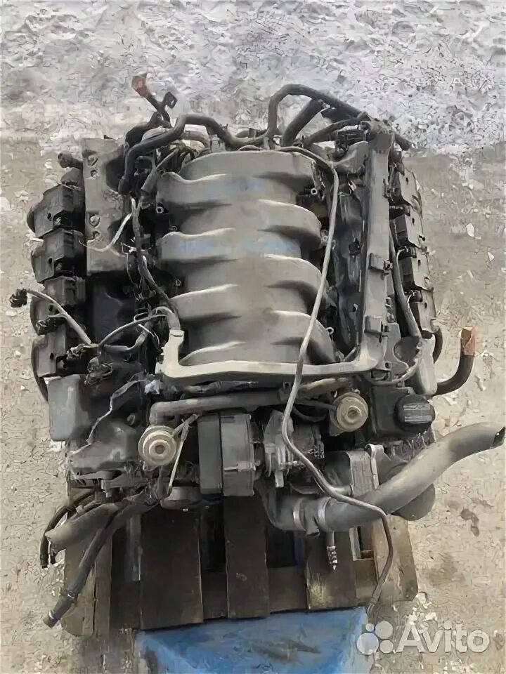 M113 mercedes. Двигатель м113 5. Двигатель 113 мерседес 5. R215 двигатель. 5 мотор мерседес.