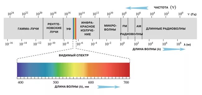 Частота излучения света это. Электромагнитный спектр излучения от радиоволн до гамма диапазона. Спектр частот электромагнитного излучения. Спектр электромагнитного излучения спектр видимого света. Диапазон волн и частот гамма излучения.