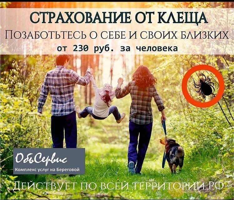Оформить страховку от клеща. Страхование от клеща реклама. страхование от клеща новосибирск. объявление о страховании от клеща. реклама страховки от клеща.