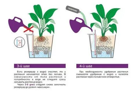 Через сколько поливать растения