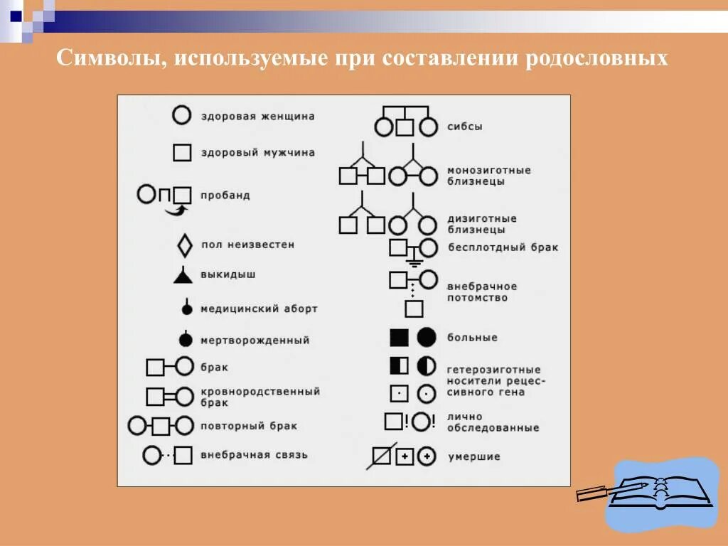 Условные обозначения в генеалогическом древе