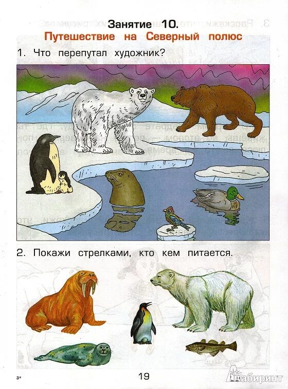 Окружающий мир путешествия старшая группа