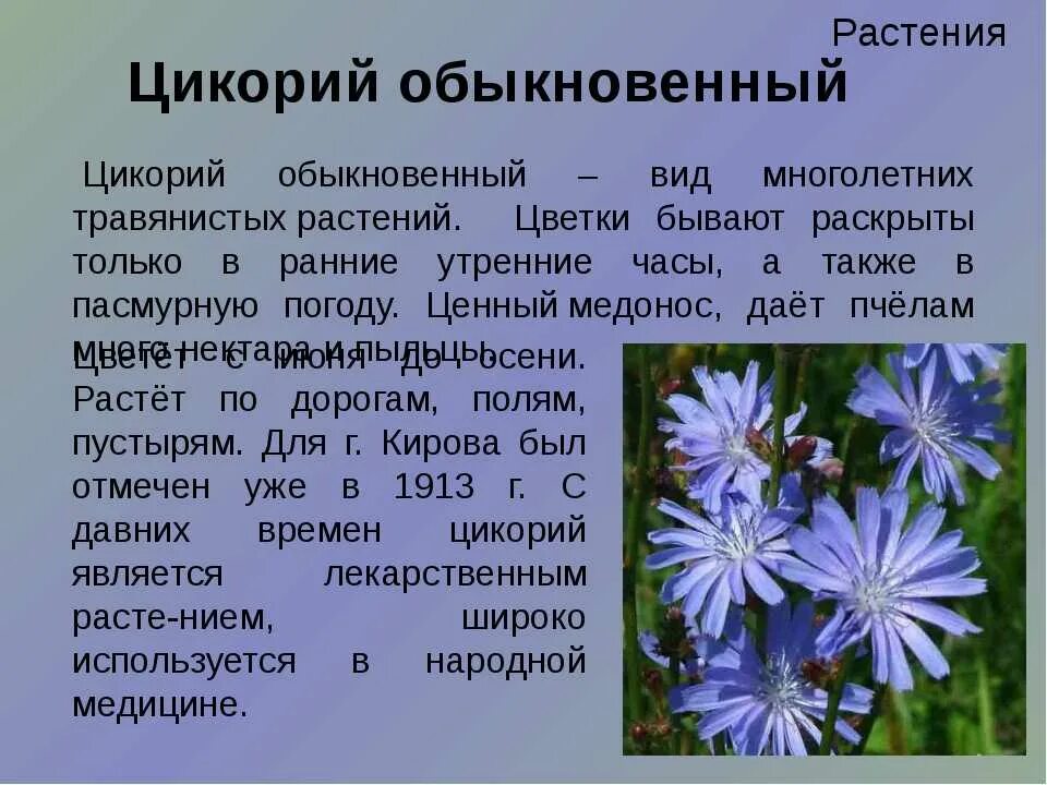 Подготовьте сообщение используя