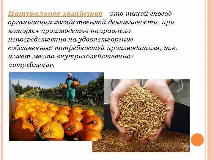 Photos ДИНАСТИЯ КНЯЗЕЙ В ЛИТОВСКОМ ГОСУДАРСТВЕ