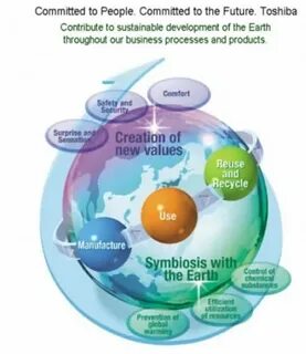 Environmental ltd