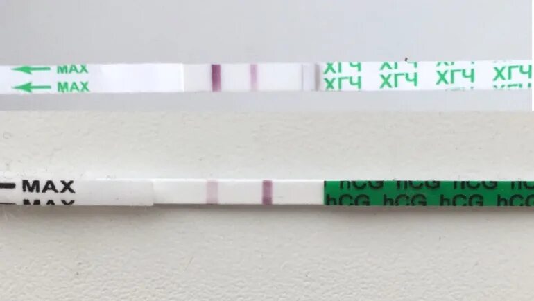 Бледные полоски на тесте форум. Эвитест тестовая полоска ярче контрольной. Тестовая полоска бледнее контрольной на тесте на беременность. Тест на беременность контрольная полоска бледнее тестовой. Тест бишурс.