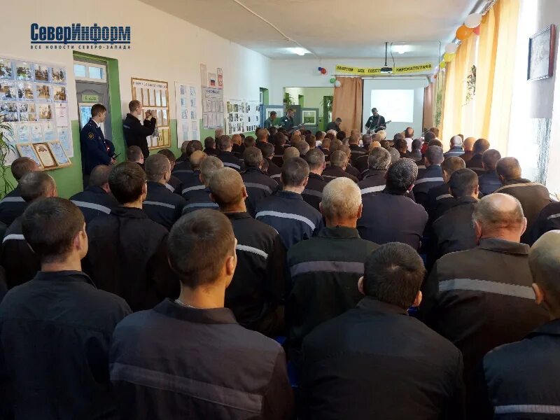 Ик 12 тюрьма пермский край. Фку 12. Фку ик-12 новосибирская область. Фку 12. Тюрьма шексна ик-12.