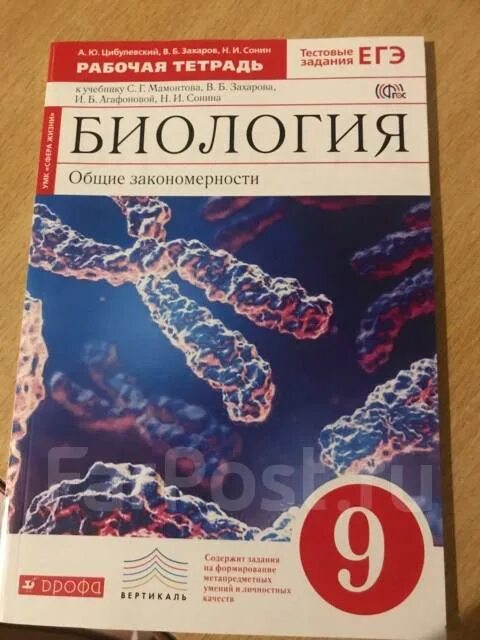 Биология 9 цибулевский. Тетрадь по биологии 9 класс. Рабочая тетрадь по биологии 9 класс Бодрова. Тетрадь по биологии 9 класс Эстетика. Гдз по биологии 8 класс рабочая тетрадь Сонин.