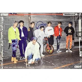 Stray kids эпизоды