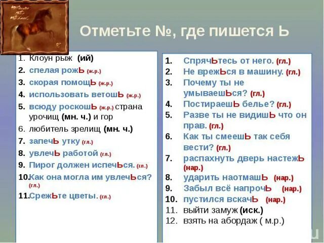 Где пишется. Не где как пишется. Как правильно пишется слово....рыжий. Где что как пишется правильно. Не глупая причина как пишется