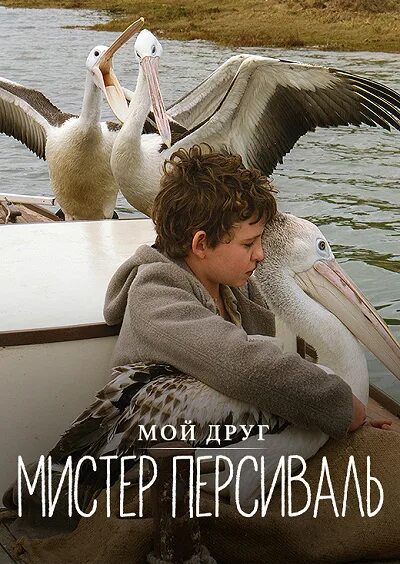 «мой друг мистер персиваль», 2019г. «мой друг мистер персиваль», 2019г. Пеликан персиваль. Storm boy мой друг мистер персиваль. Мой друг мистер персиваль 2019.