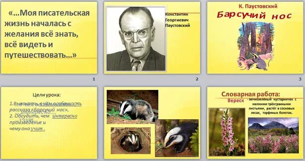 К. Паустовский "барсучий нос". Паустовский "барсучий нос". Паустовский барсучий нос раскраска. Конспект урока паустовский барсучий нос 3 класс.