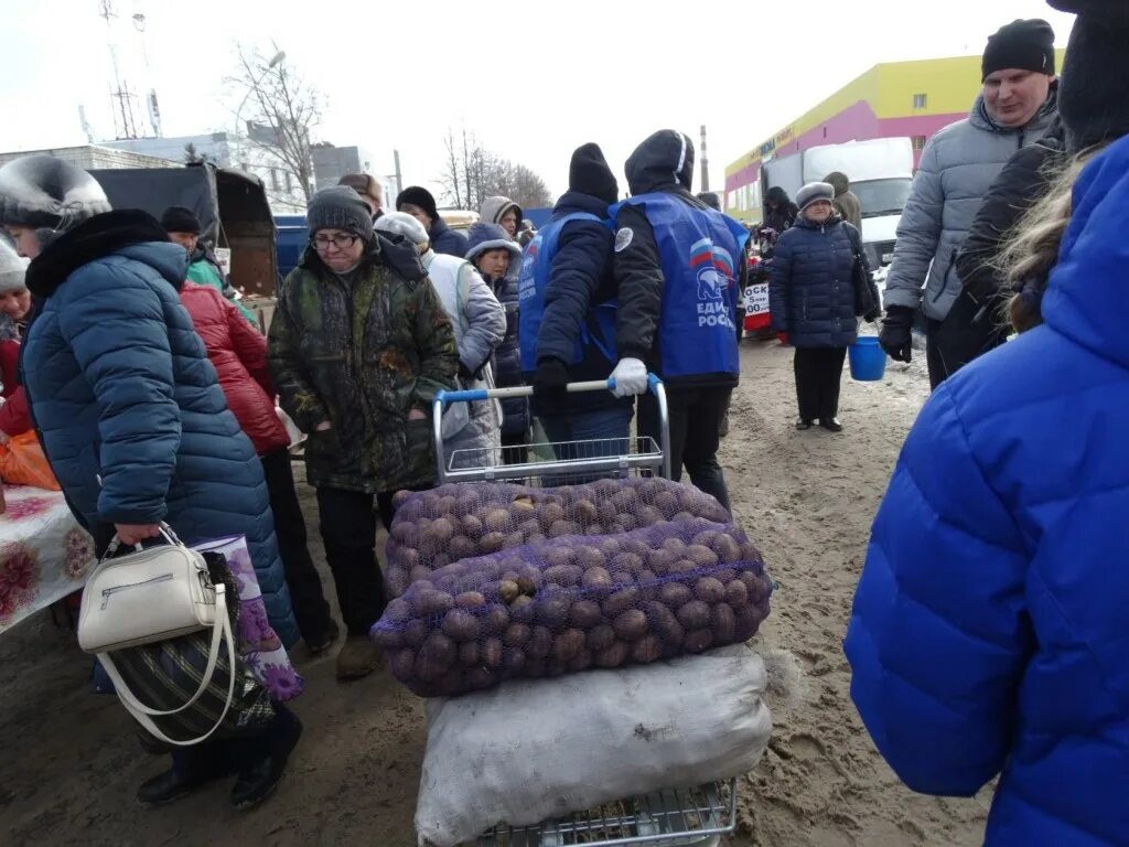 Погода в димитровграде на часы. Сельскохозяйственная ярмарка Димитровград. Димитровград ярмарка на площади. Сельхоз ярмарка в Димитровграде. Торговля в Ульяновской области.