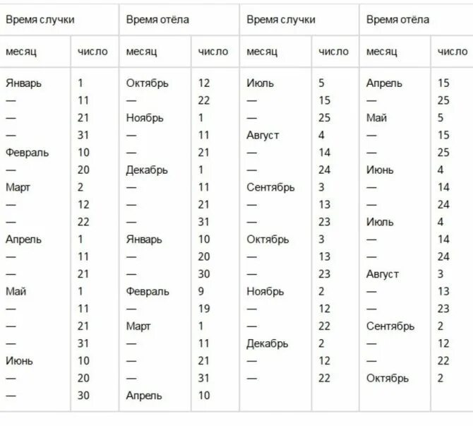 Через сколько приходит в охоту