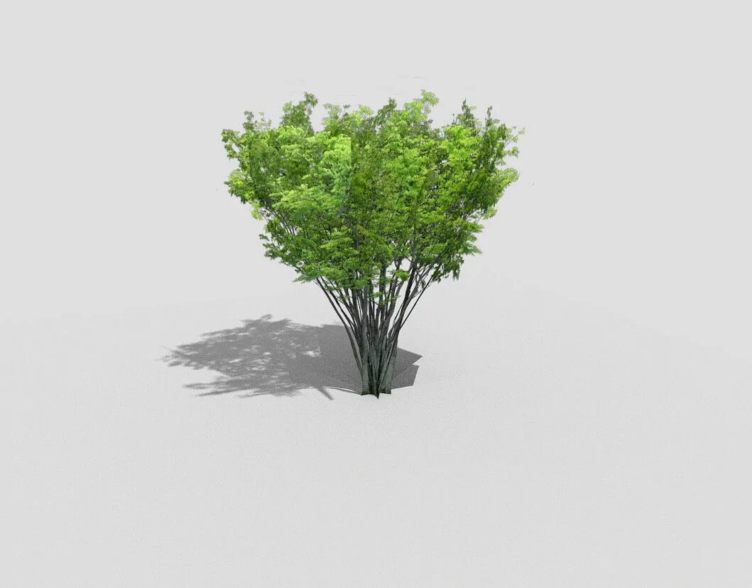 Куст 3д модель. Blender деревья низкополигональные. лоу поли кустарники. ива low poly. низкополигональная модель дерева.