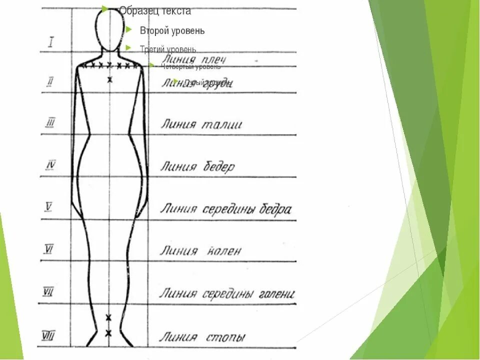 Схема пропорций фигуры человека. Пропорции человеческой фигуры схема. Пропорции человека в полный рост схема. Пропорции тела человека анатомия.