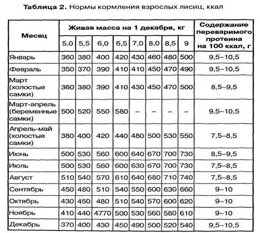 Лисья норма