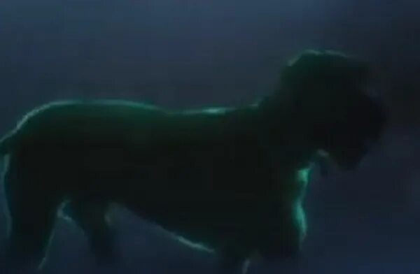 Сэр генри баскервиль. Собака баскервилей в фильме шерлок холмс. Шерлок и ватсон собака баскервилей. Собака баскервилей фильм собака. Собака баскервилей сэр генри.