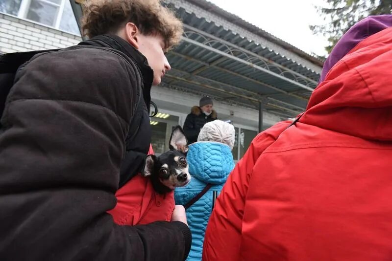 Те кто приехал в воронеж в феврале