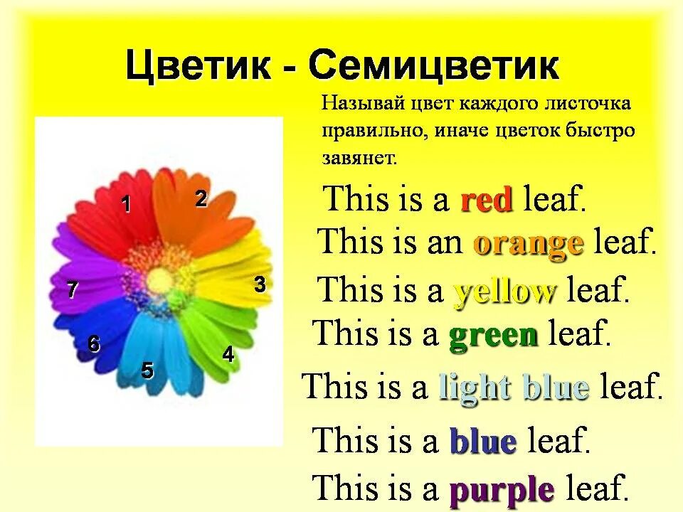 Цвета на английском языке. Цвета по англ. Презентация на тему цвета. Цветок цвета на английском.