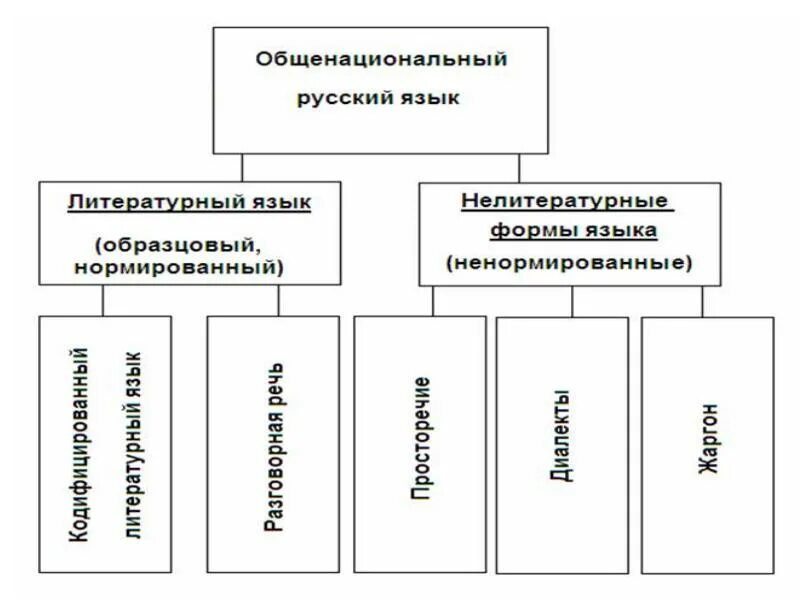 Русский национальный литературный язык. Подсистемы национального языка. Подсистемы русского национального языка. Русский язык его подсистемы. Подсистемы литературного языка.