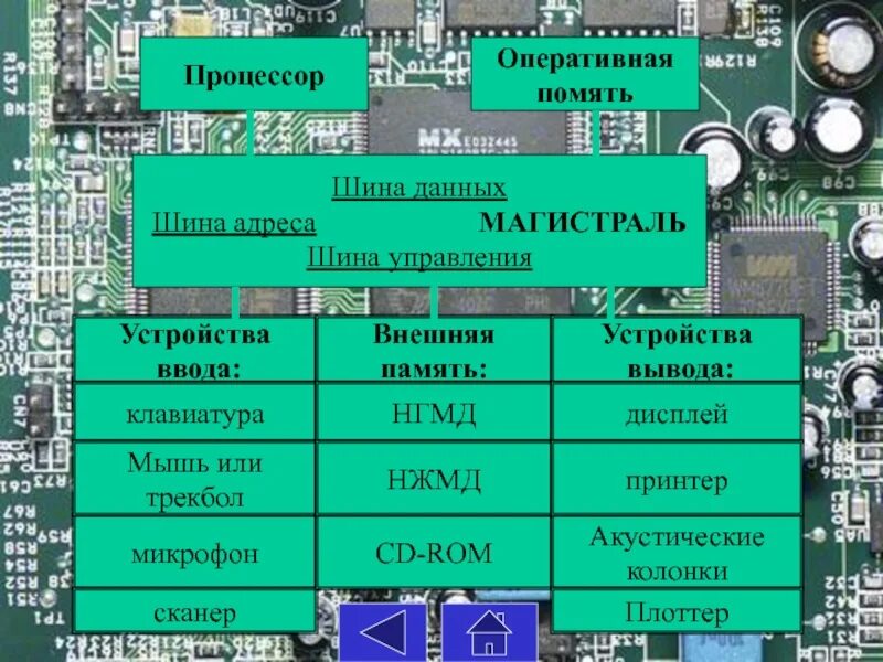 Управление процессором и памятью. Адресная шина процессора. Шина данных процессора. Шина данных шина управления. Магистраль процессор.