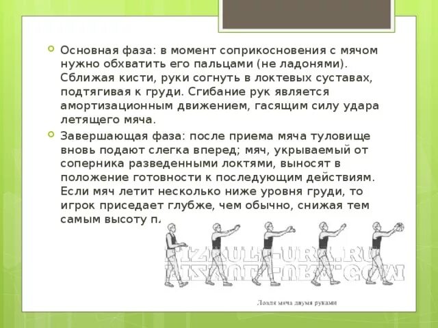 Фазы ловли мяча. Момент соприкосновения мяча с руками. В момент соприкосновения с мячом нужно обхватить его пальцами. В момент касания с мячом необходимо.