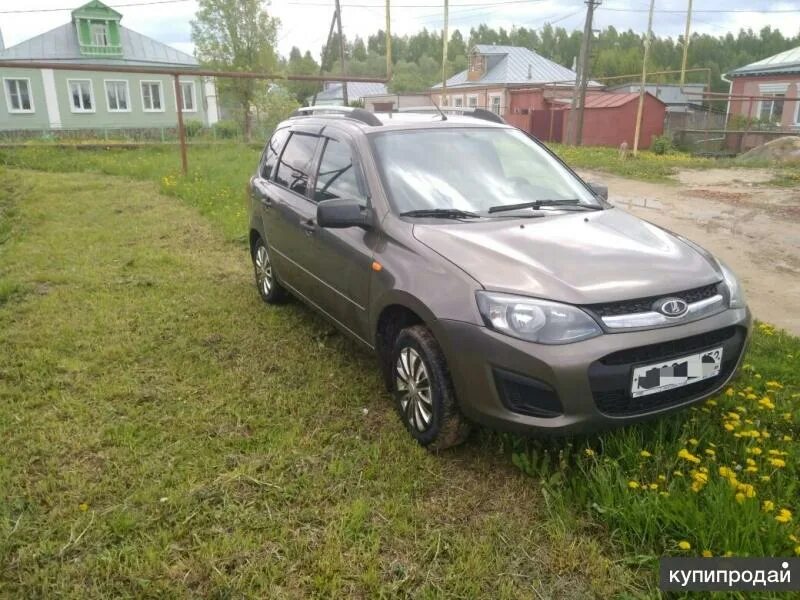 Купить калину в нижегородской области