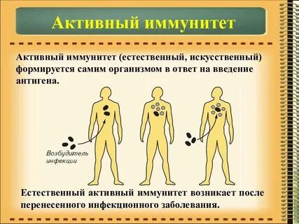 Стойкий иммунитет вырабатывается после