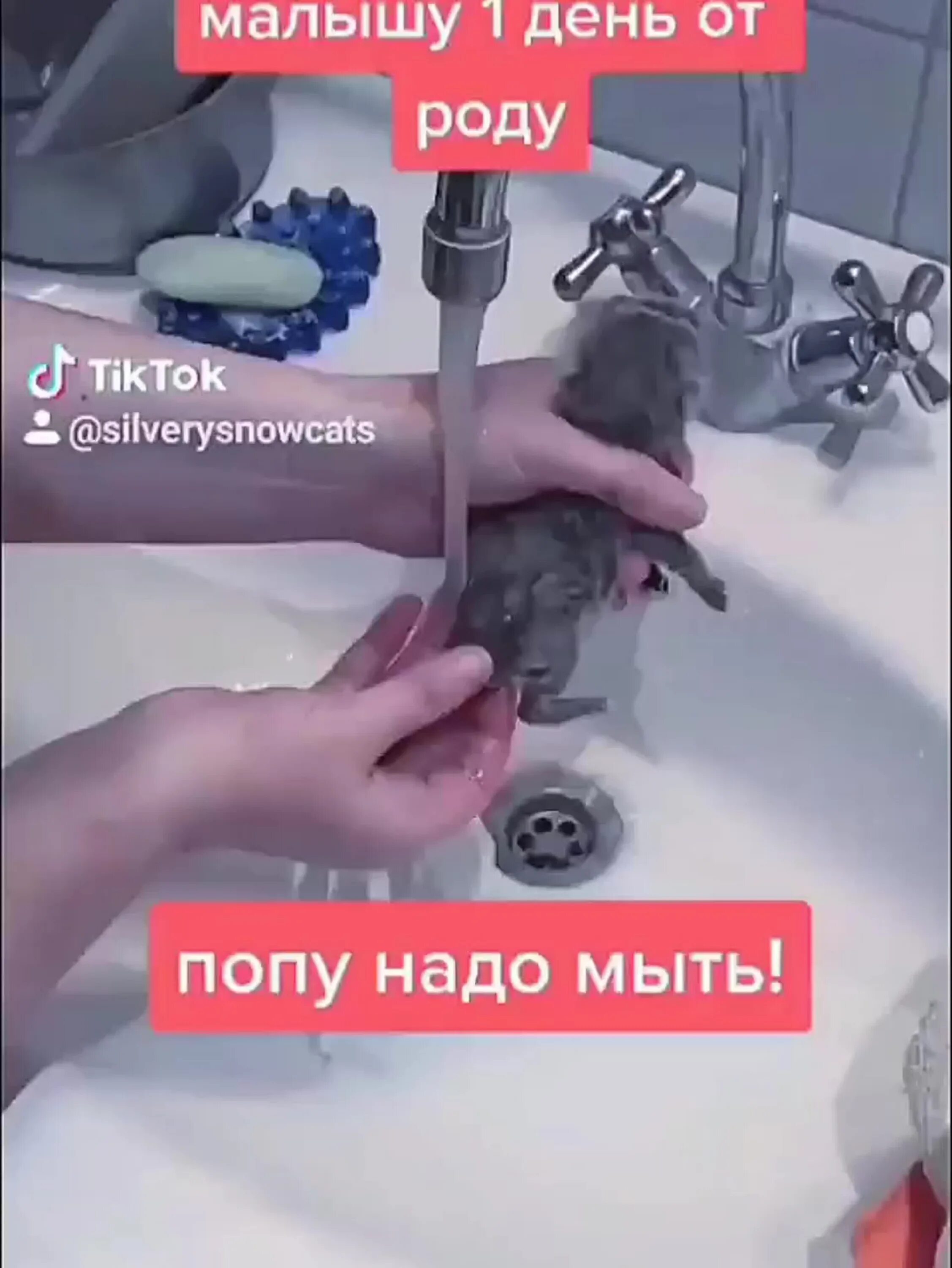 Мытье попы