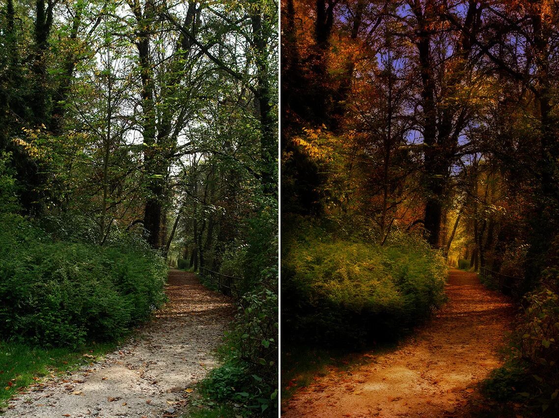 фотографии для обработки природа. пейзаж обычный. природа обычная. пейзаж без обработки. пейзажи до и после обработки.