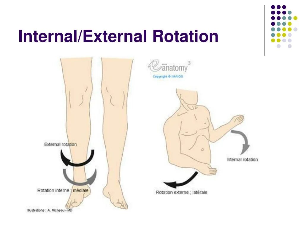 Internal meaning. Internal rotation. external and internal. external rotation. shoulder internal rotation.