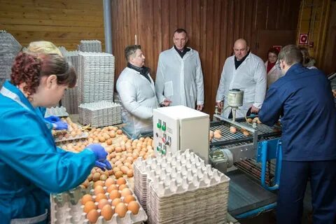 Агрофирма 60 70 65