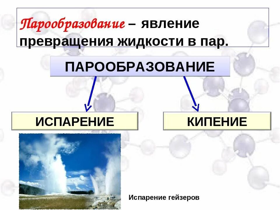 виды испарения