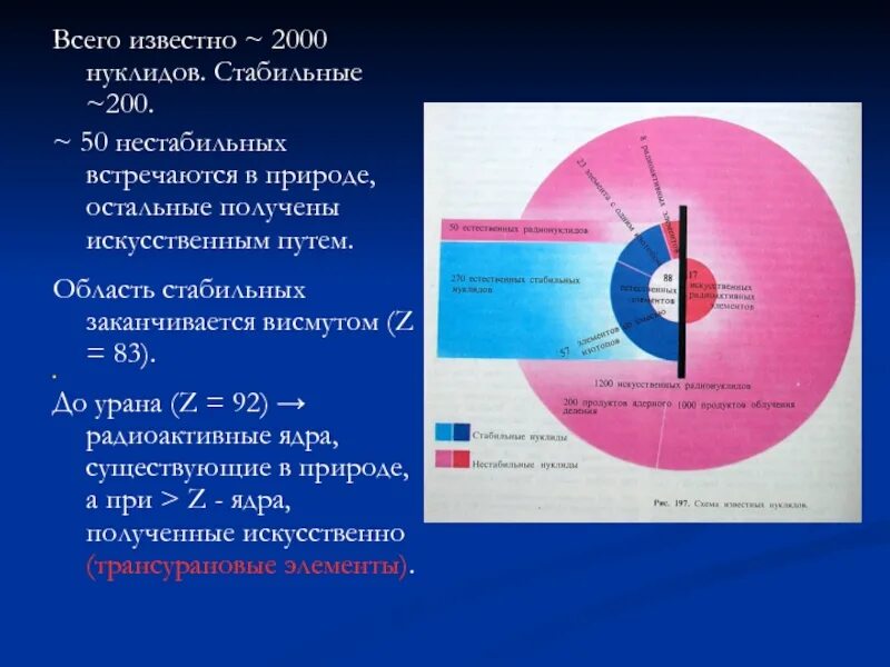 Классификация нуклидов. Стабильные и радиоактивные нуклиды. Примеры стабильных и нестабильных нуклидов. Число нестабильных нуклидов встречающихся в природе. Ядро изотопа висмута 211 83 получилось