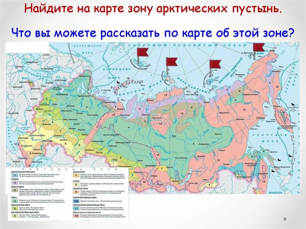 Природные зоны карта России карта России. Карта природных зон России география. Карта природных зон России 4 класс карта. Карта природных зон России 8 класс география. Обозначения природных зон на карте 4 класс