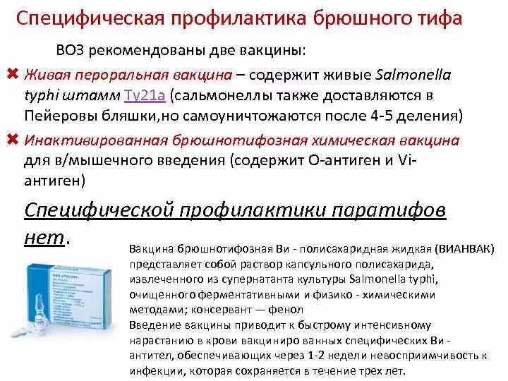 Прививка от брюшного тифа. Вакцина против брюшного тифа. специфическая профилактика брюшного тифа. сальмонелла специфическая профилактика. вакцина от брюшного тифа вианвак.