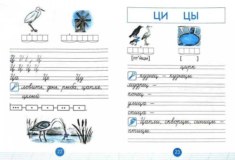 Пропись буква ц