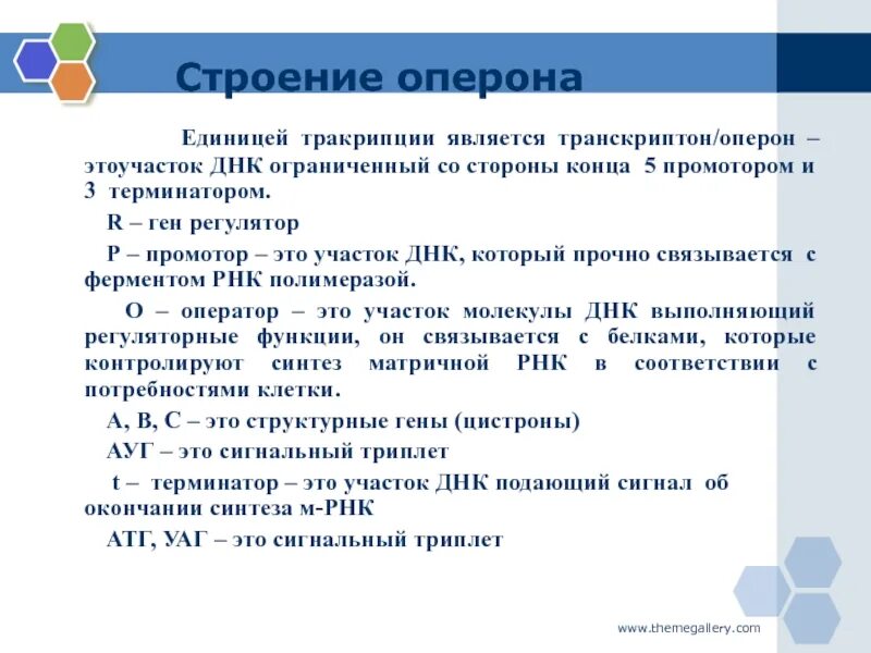 Строение триплета. Триплет это кратко. Оперон это единица ДНК. Промотор и триплет. Обусловлена выпадением триплета характеризуется перестройками