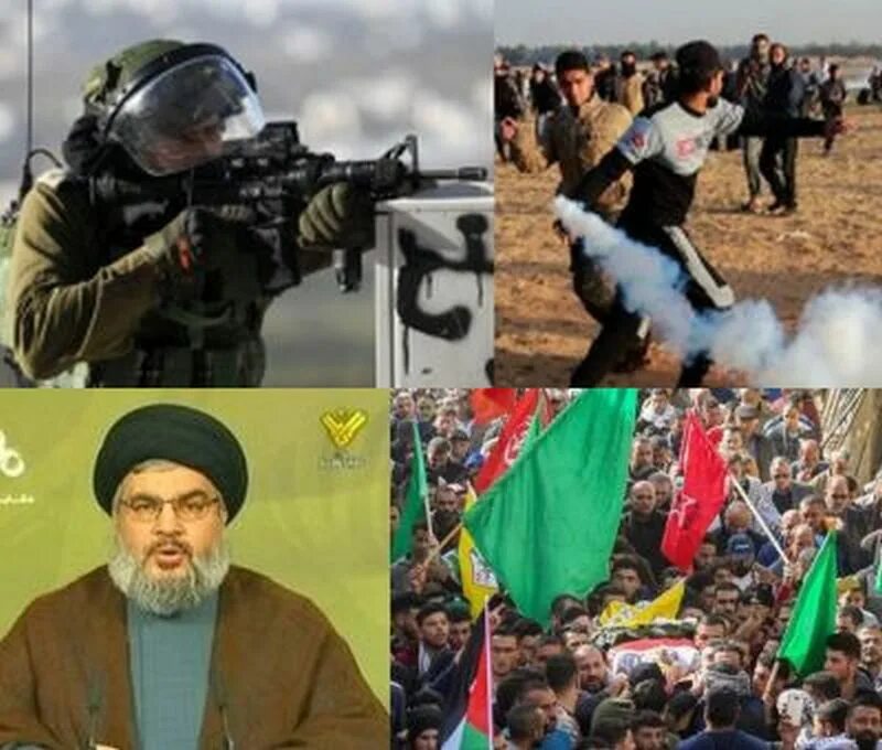 ХАМАС Иран. ХАМАС И Хезболла. Иран сравнение.