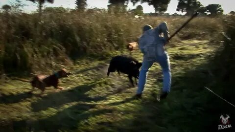 Hole hunters
