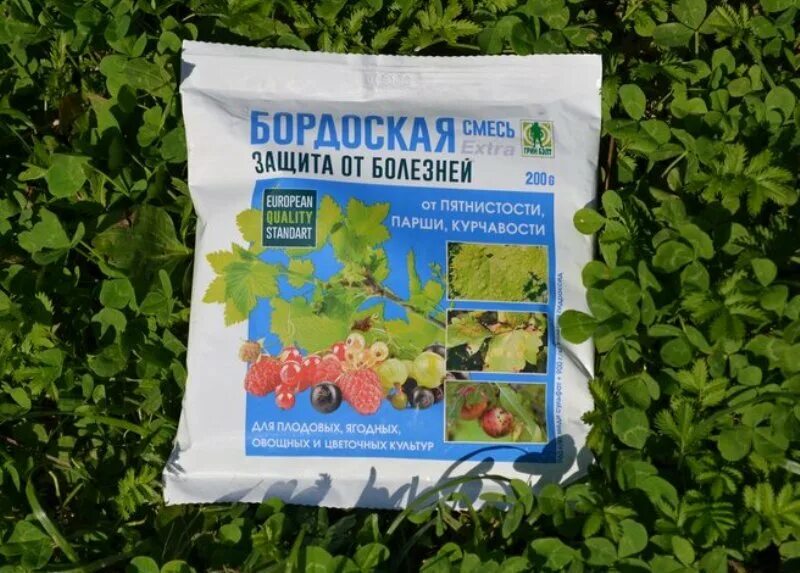 Медный купорос для обработки плодовых деревьев весной. Медный купорос обработка деревьев яблони. Медный купорос для обработки деревьев. Обработка яблонь медным купоросом весной. Медный купорос для обработки плодовых деревьев весной.