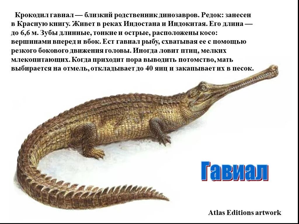 Когда килограммовая гиря имеет большую. Этого он имеет большой. Равномерность освещенности. Этого он имеет большой. Большое разнообразие имеют.