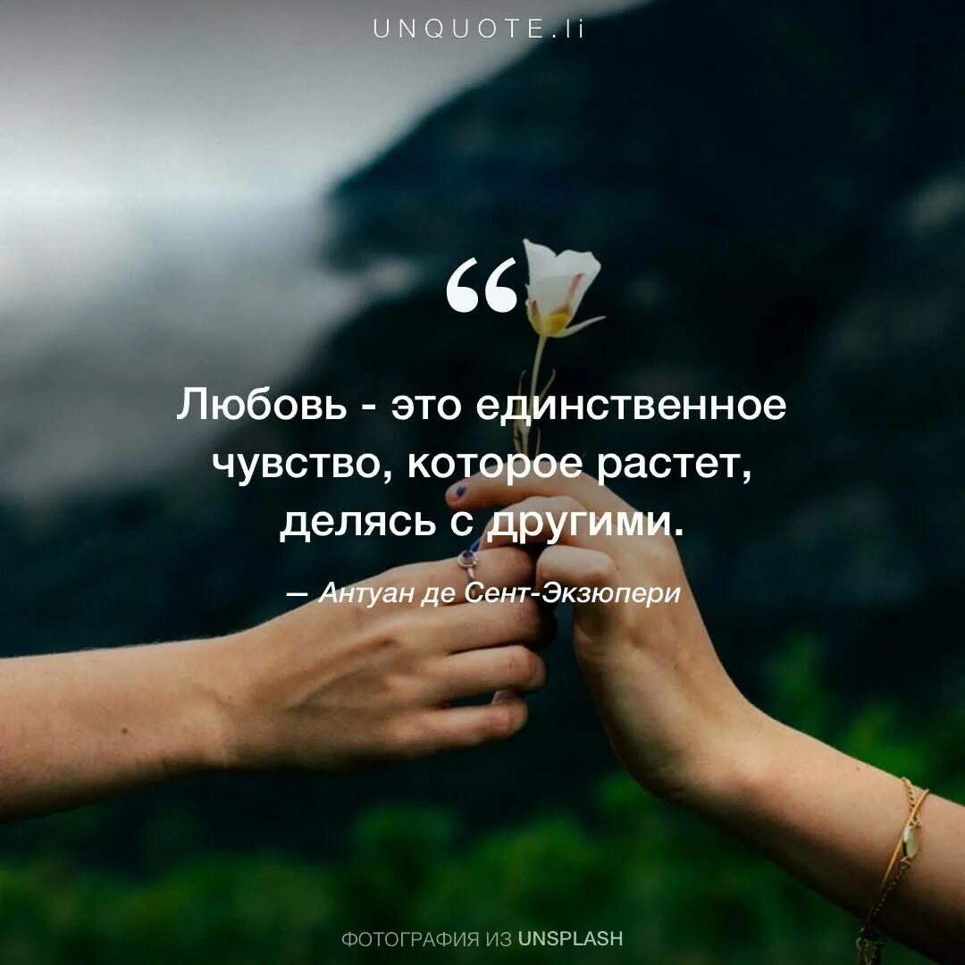 Чувство любви цитаты. Цитаты про любовь. ц͜͡и͜͡т͜͡а͜͡т͜͡ы͜͡ п͜͡р͜͡о͜͡ л͜͡ю͜͡б͜͡о͜͡в͜͡и͜͡. красивые цитаты про любовь. красивые афоризмы о любви.