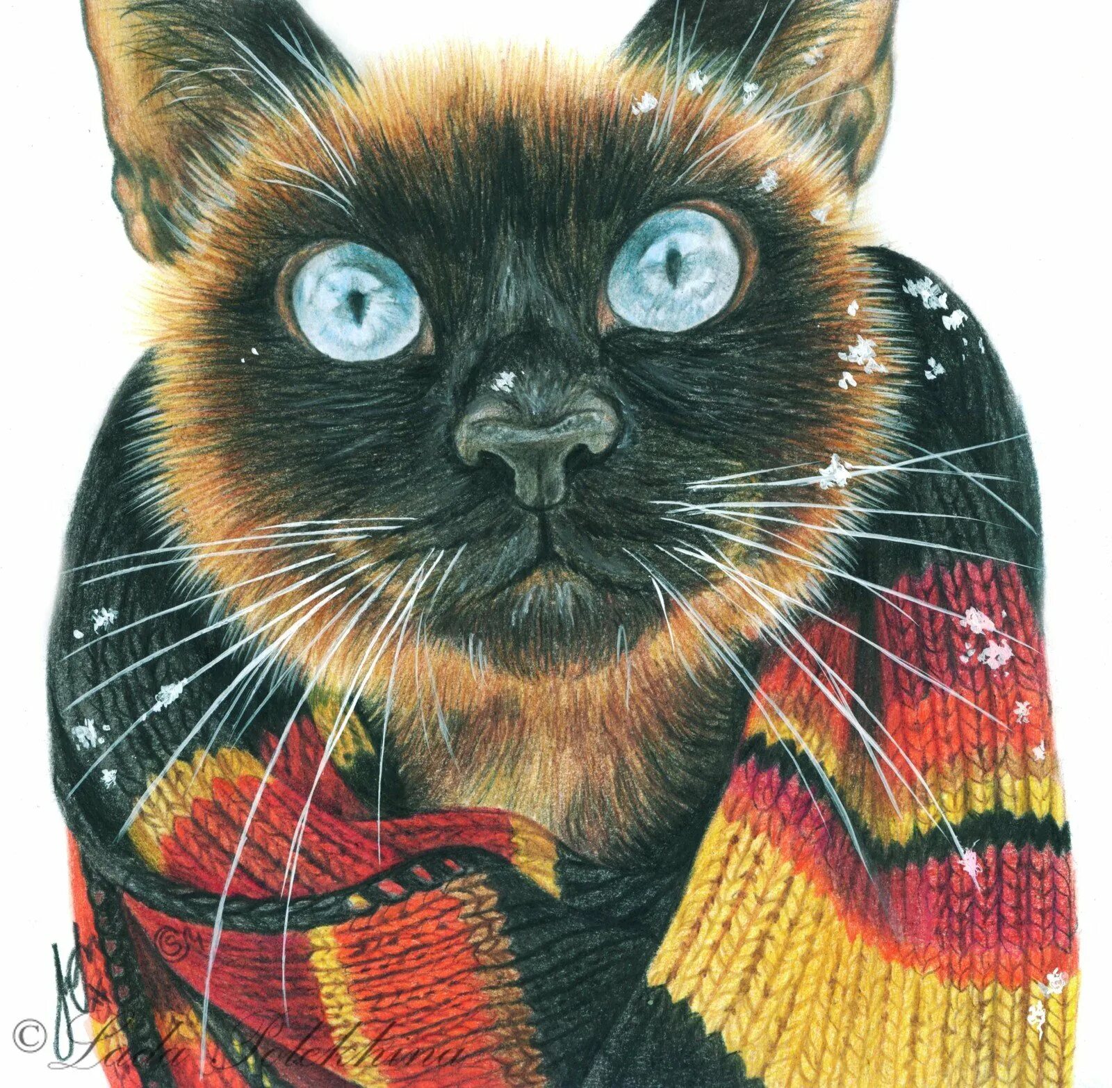 Кот в шарфе. Котик в шарфике. Кошки цветные. Коты в шарфиках. Кот рисунок цветной