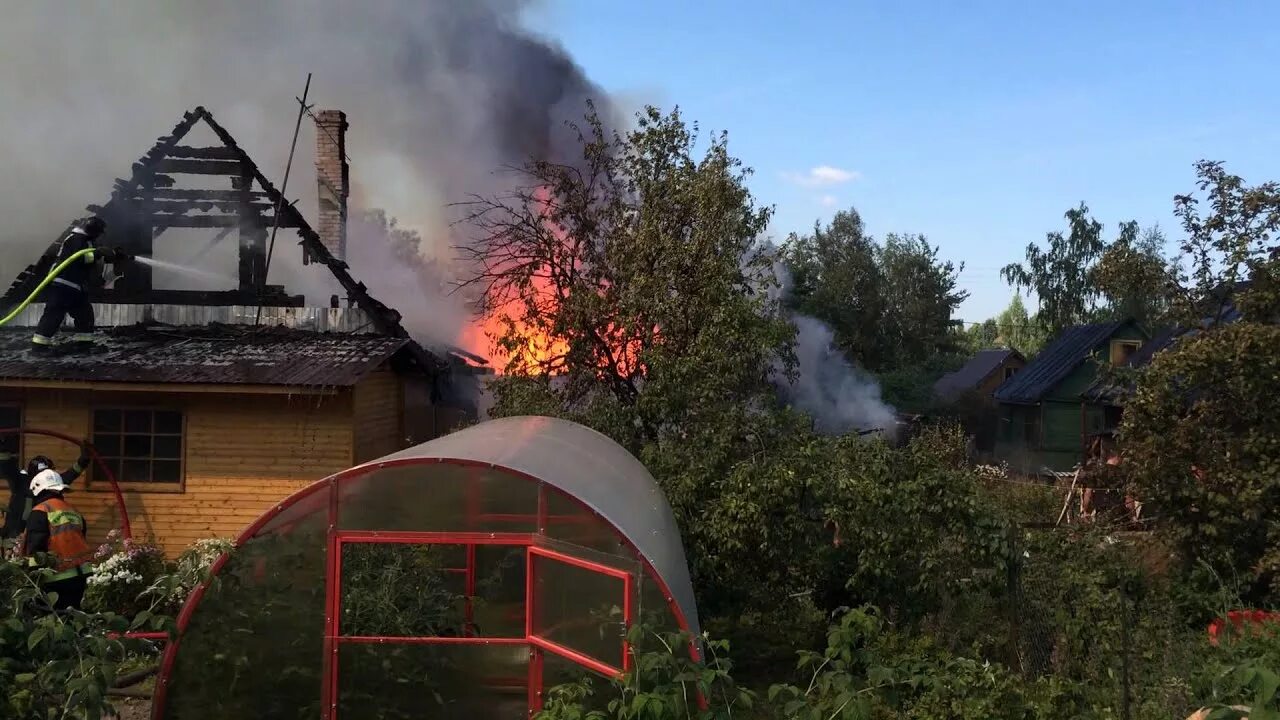 Что горит в горелово сейчас. Пожар в Горелово. Пожар в Горелово сейчас. Пожары в Красносельском районе. Пожар в деревне Горелово.