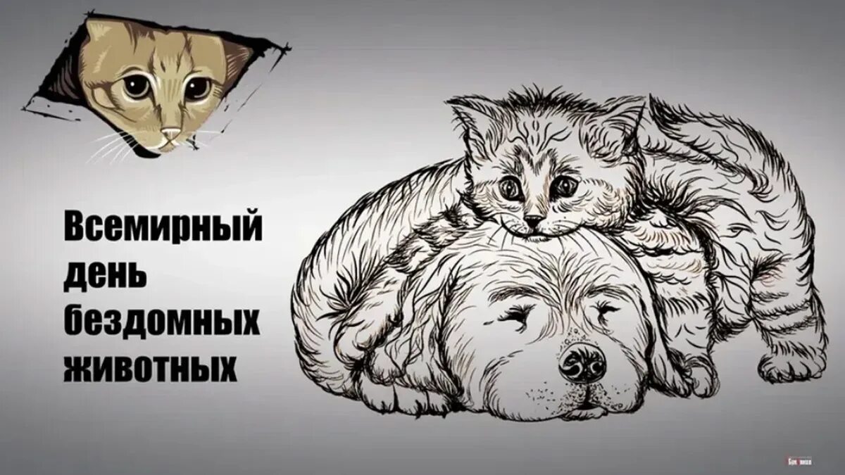 День защиты бездомных. День защиты бездомных